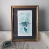 Kingfisher Watercolour Painting With Gilding