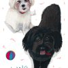 Custom PAWTRAIT illustration of your pet - Image 7