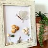 A lovely scene with a butterfly, snail, and flowers, made with seaglass and seashells, perfect as a unique gift! - Image 2