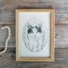 Cat graphite Illustration