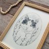 Cat graphite Ilustration