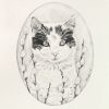 Cat graphite Ilustration