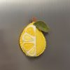 Playful Felt Fruit Magnets -3 variations