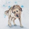 Wet dog watercolour painting