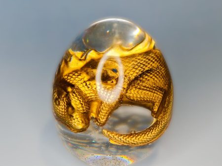 Dragon egg with a golden dragon baby in it