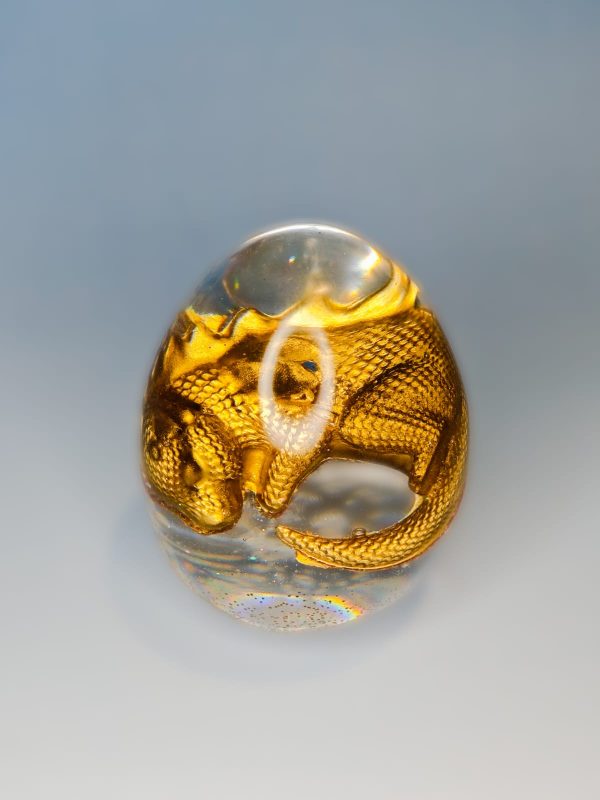Dragon egg with a golden dragon baby in it
